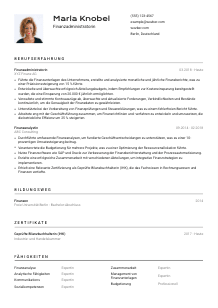 Lebenslauf-Vorlage für Finanzadministrator*in #2
