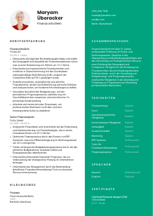 Lebenslauf-Vorlage für Finanzcontroller*in #2