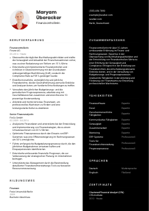 Lebenslauf-Vorlage für Finanzcontroller*in #3