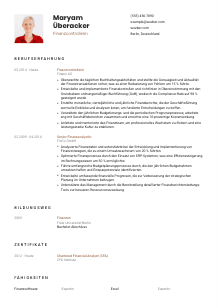 Lebenslauf-Vorlage für Finanzcontroller*in #1
