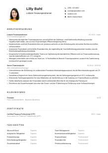 Lebenslauf-Muster für Leiter*in Finanzoperationen