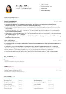 Lebenslauf-Vorlage für Leiter*in Finanzoperationen #3