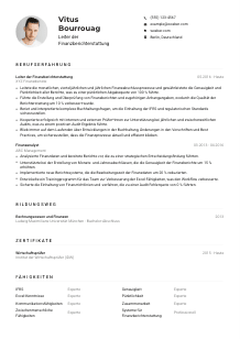 Lebenslauf-Muster für Leiter*in Finanzberichterstattung