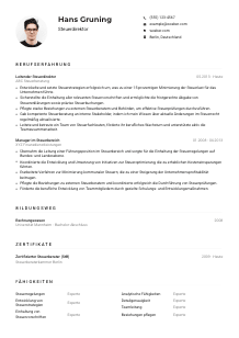 Lebenslauf-Muster für Steuerdirektor*in