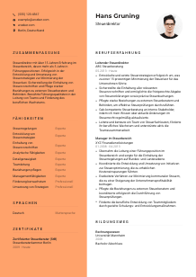 Lebenslauf-Vorlage für Steuerdirektor*in #3