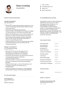 Lebenslauf-Vorlage für Steuerdirektor*in #1