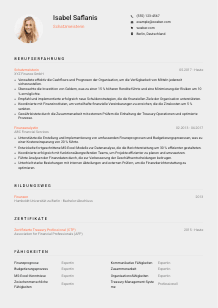Lebenslauf-Vorlage für Schatzmeister*in #3