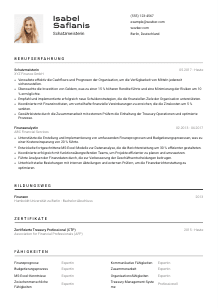 Lebenslauf-Vorlage für Schatzmeister*in #2