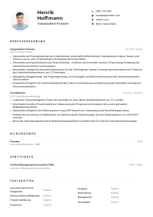Lebenslauf-Muster für Vizepräsident*in Finanzen