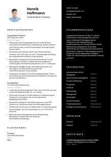 Lebenslauf-Vorlage für Vizepräsident*in Finanzen #3