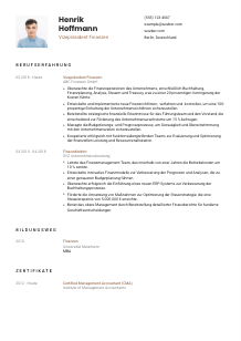 Lebenslauf-Vorlage für Vizepräsident*in Finanzen #1