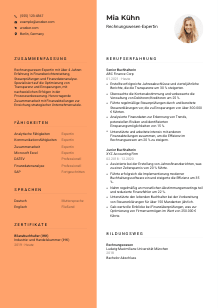 Lebenslauf-Vorlage für Rechnungswesen-expert*in #3