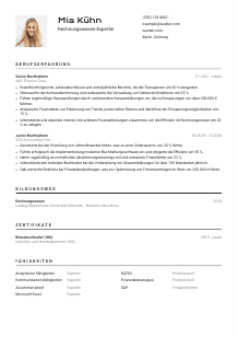 Lebenslauf-Vorlage für Rechnungswesen-expert*in #2