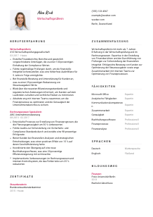 Lebenslauf-Vorlage für Wirtschaftsprüfer*in #2