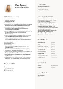 Lebenslauf-Vorlage für Funktionale*r Buchhalter*in #2