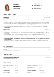 Lebenslauf-Vorlage für Lohnanalyst*in #3