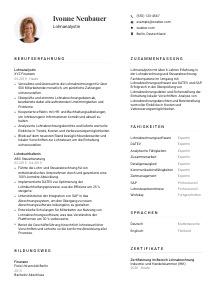 Lebenslauf-Vorlage für Lohnanalyst*in #1