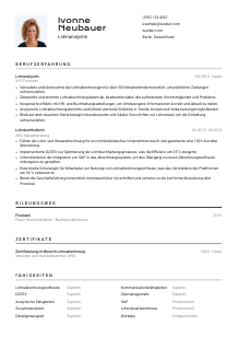 Lebenslauf-Vorlage für Lohnanalyst*in #2