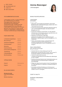 Lebenslauf-Vorlage für Lohnmanager*in #3