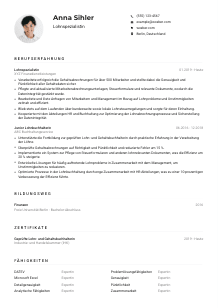 Lebenslauf-Muster für Lohnspezialist*in