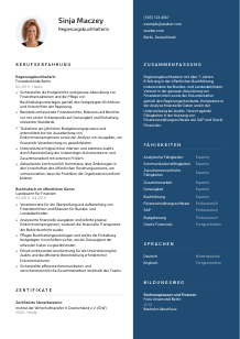 Lebenslauf-Vorlage für Regierungsbuchhalter*in #2