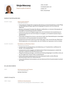 Lebenslauf-Vorlage für Regierungsbuchhalter*in #1