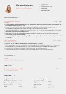 Lebenslauf-Vorlage für Banken-Geschäftsanalyst*in #3