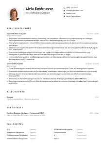 Lebenslauf-Muster für Geschäftsdaten-Analyst*in