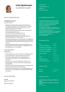Lebenslauf-Vorlage für Geschäftsdaten-Analyst*in #2