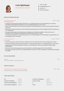 Lebenslauf-Vorlage für Geschäftsdaten-Analyst*in #3