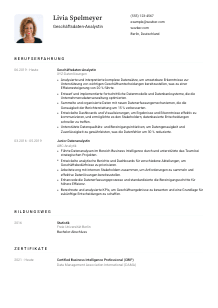 Lebenslauf-Vorlage für Geschäftsdaten-Analyst*in #1