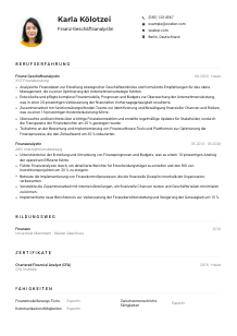 Lebenslauf-Muster für Finanz-Geschäftsanalyst*in