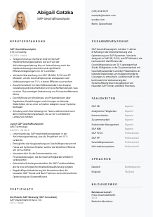 Lebenslauf-Vorlage für SAP-Geschäftsanalyst*in #2