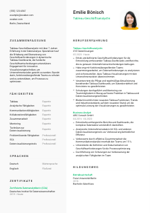 Lebenslauf-Vorlage für Tableau-Geschäftsanalyst*in #2