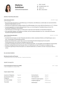 Lebenslauf-Muster für Unternehmensberater*in