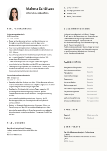 Lebenslauf-Vorlage für Unternehmensberater*in #2