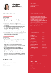 Lebenslauf-Vorlage für Unternehmensberater*in #3
