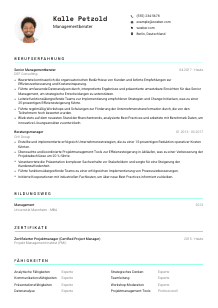 Lebenslauf-Vorlage für Managementberater*in #3