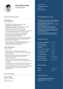 Lebenslauf-Vorlage für Strategieberater*in #2