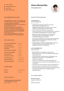 Lebenslauf-Vorlage für Strategieberater*in #3