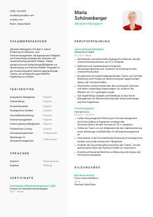 Lebenslauf-Vorlage für Allianzen-Manager*in #2