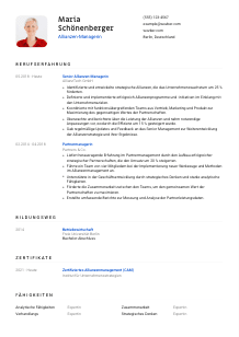 Lebenslauf-Vorlage für Allianzen-Manager*in #1