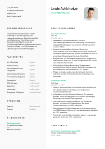 Lebenslauf-Vorlage für Geschäftsentwickler*in #2