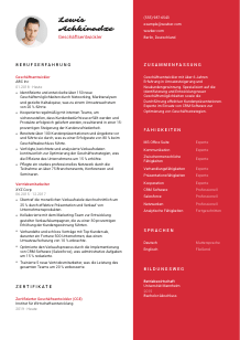 Lebenslauf-Vorlage für Geschäftsentwickler*in #3