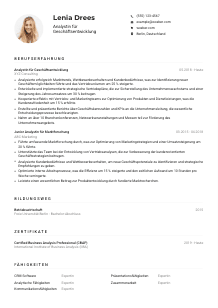 Lebenslauf-Muster für Analyst*in für Geschäftsentwicklung