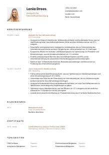 Lebenslauf-Vorlage für Analyst*in für Geschäftsentwicklung #1
