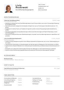 Lebenslauf-Vorlage für Geschäftsentwicklungsexpert*in #2