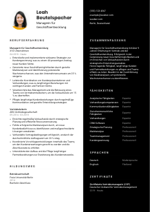 Lebenslauf-Vorlage für Manager*in für Geschäftsentwicklung #3