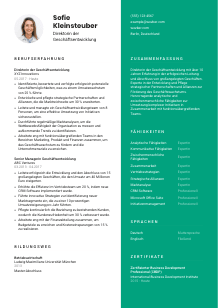 Lebenslauf-Vorlage für Direktor*in der Geschäftsentwicklung #2