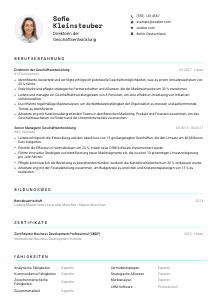 Lebenslauf-Vorlage für Direktor*in der Geschäftsentwicklung #3